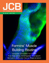 Journal Of Cell Biology