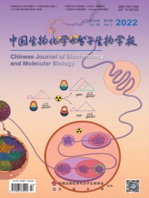 中國生物化學與分子生物學報