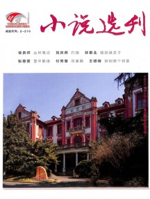 小說選刊